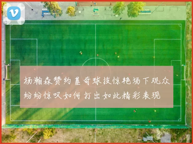 杨瀚森赞约基奇球技惊艳场下观众纷纷惊叹如何打出如此精彩表现